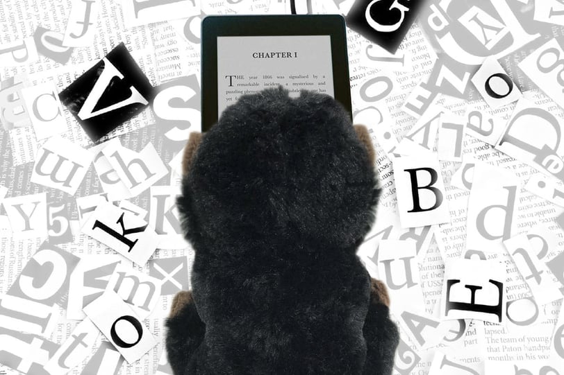 llibre-digital